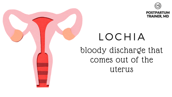 lochia - bloody discharge that comes out of the uterus 