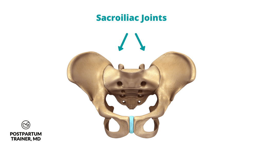 picture of the sacroiliac joint