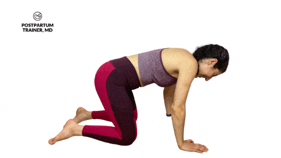 deep diaphragmatic breathing from quadruped position (on hands and knees)
