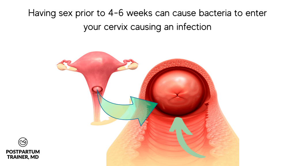 image of a closed cervix: having sex prior to 4-6 weeks can cause bacteria to enter your cervix and cause an infection