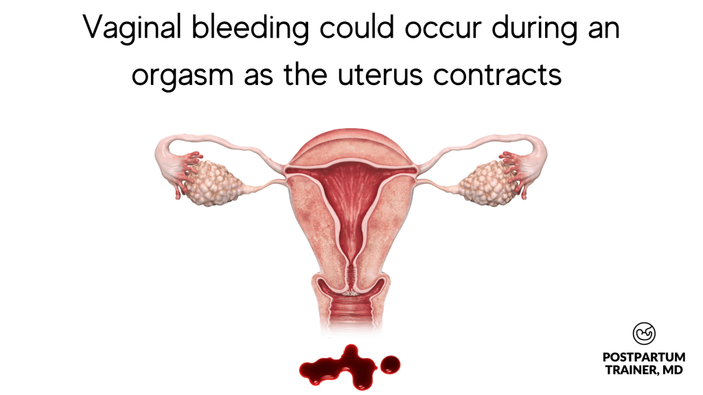 vaginal-bleeding could occur during an orgasm as the uterus contracts