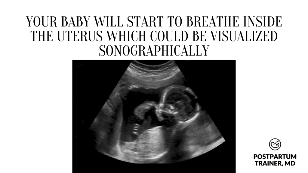 your-baby-will-start-to-breathe-inside-the-uterus-which-could-be-visualized-sonographically