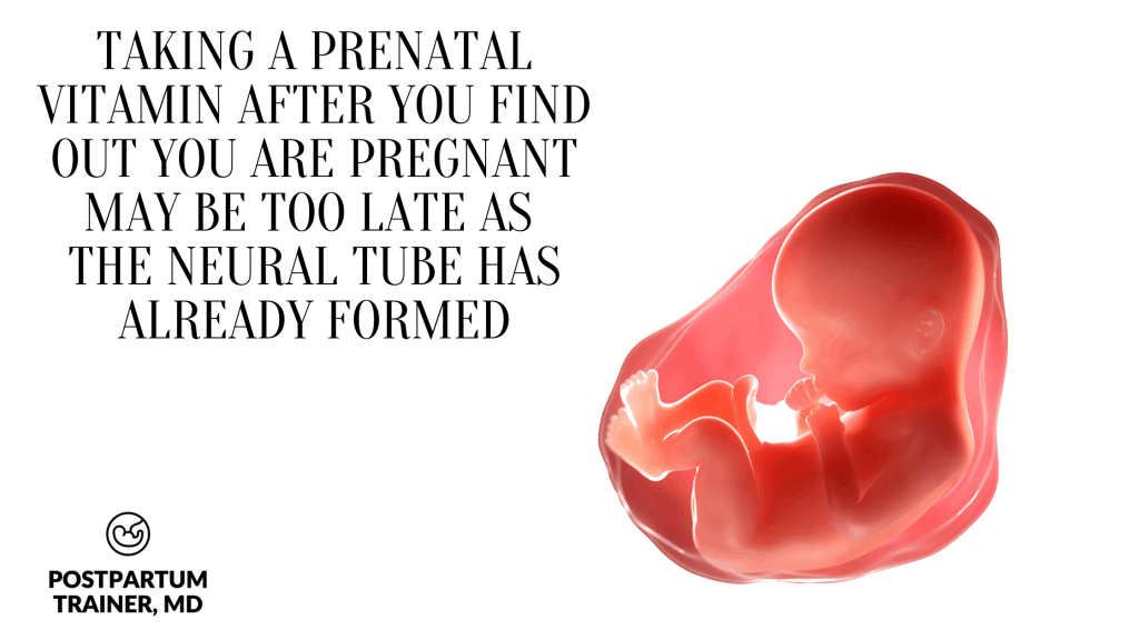taking-a-prenatal-vitamin-after-you-find-out-you-are-pregnant-may-be-too-late-as-the-neural-tube-has-formed
