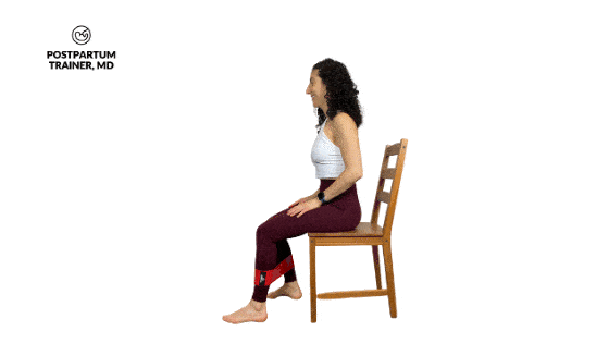 seated-leg-extension