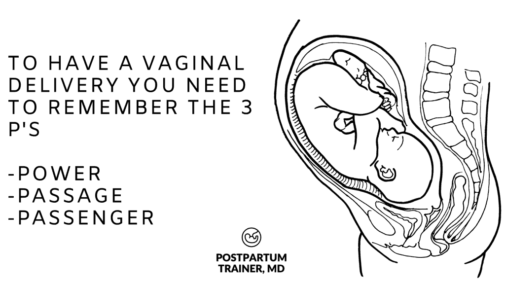 pelvis-for-vaginal-delivery